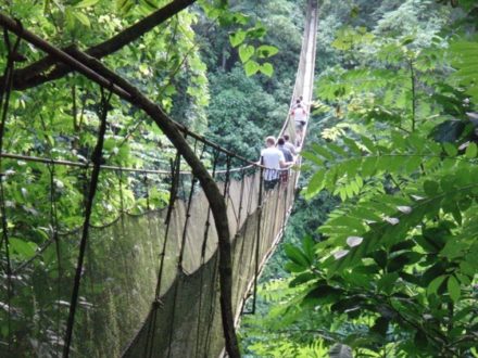 skywalk pont suspendu Monteverde