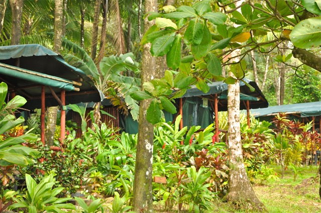 Costa Rica hébergement lodge en forêt