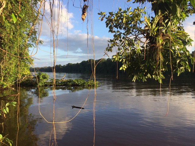 tortuguero canaux