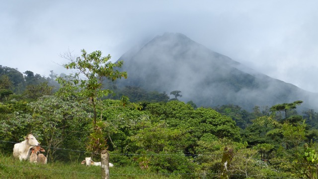 forêt volcan Arenal