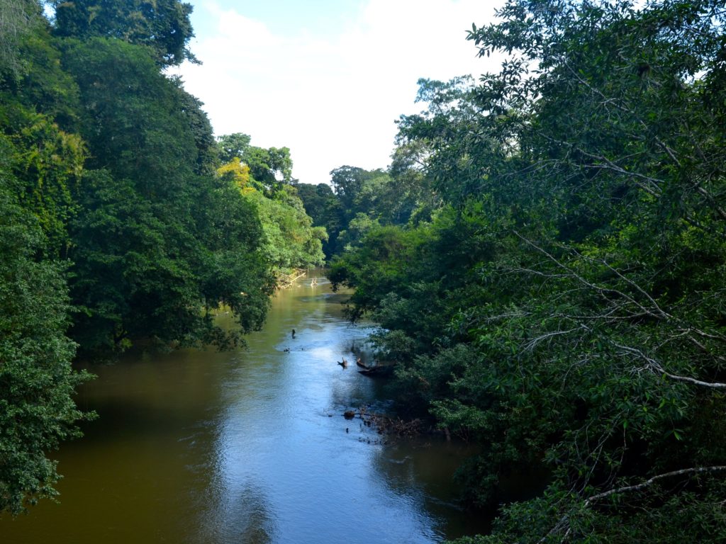 sarapiqui costa rica