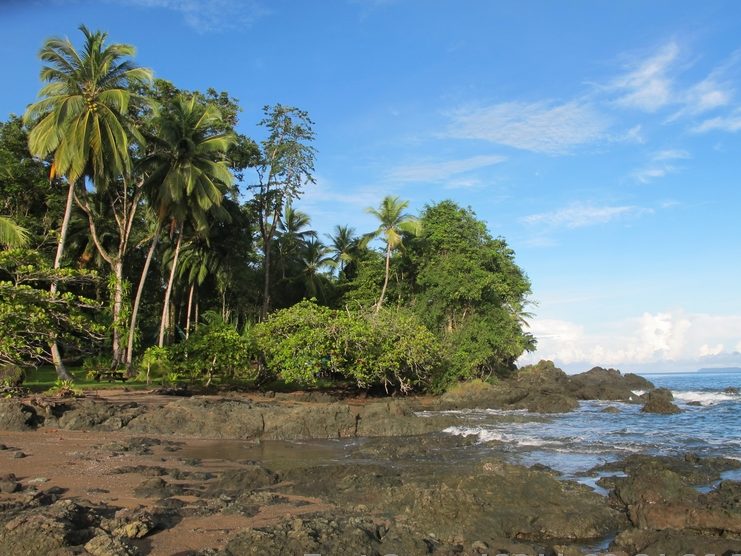 corcovado bahia drake costa rica