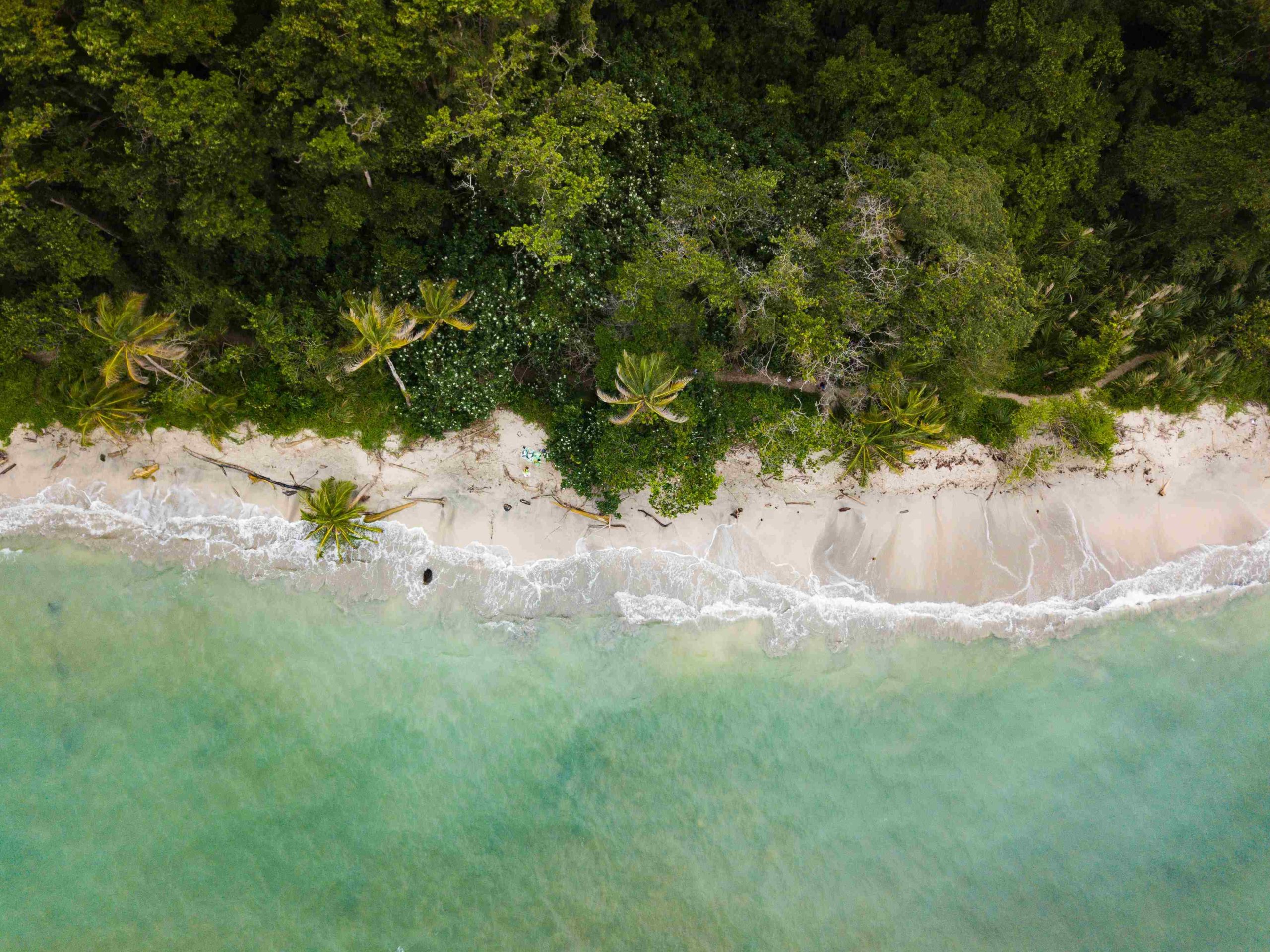 plage caraibes costa rica