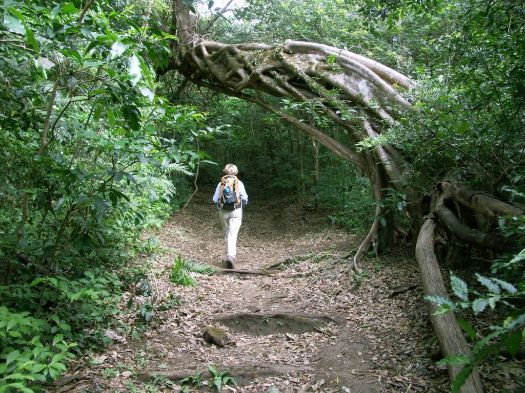 Parc National Rincon de la Vieja Costa Rica