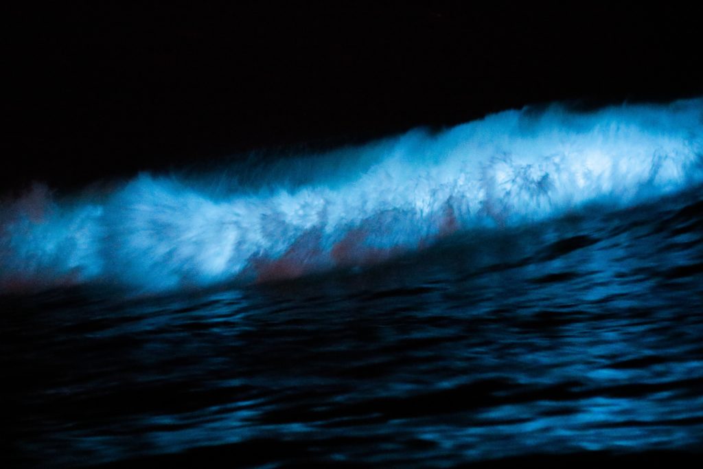 bioluminescence eau plage Costa Rica
