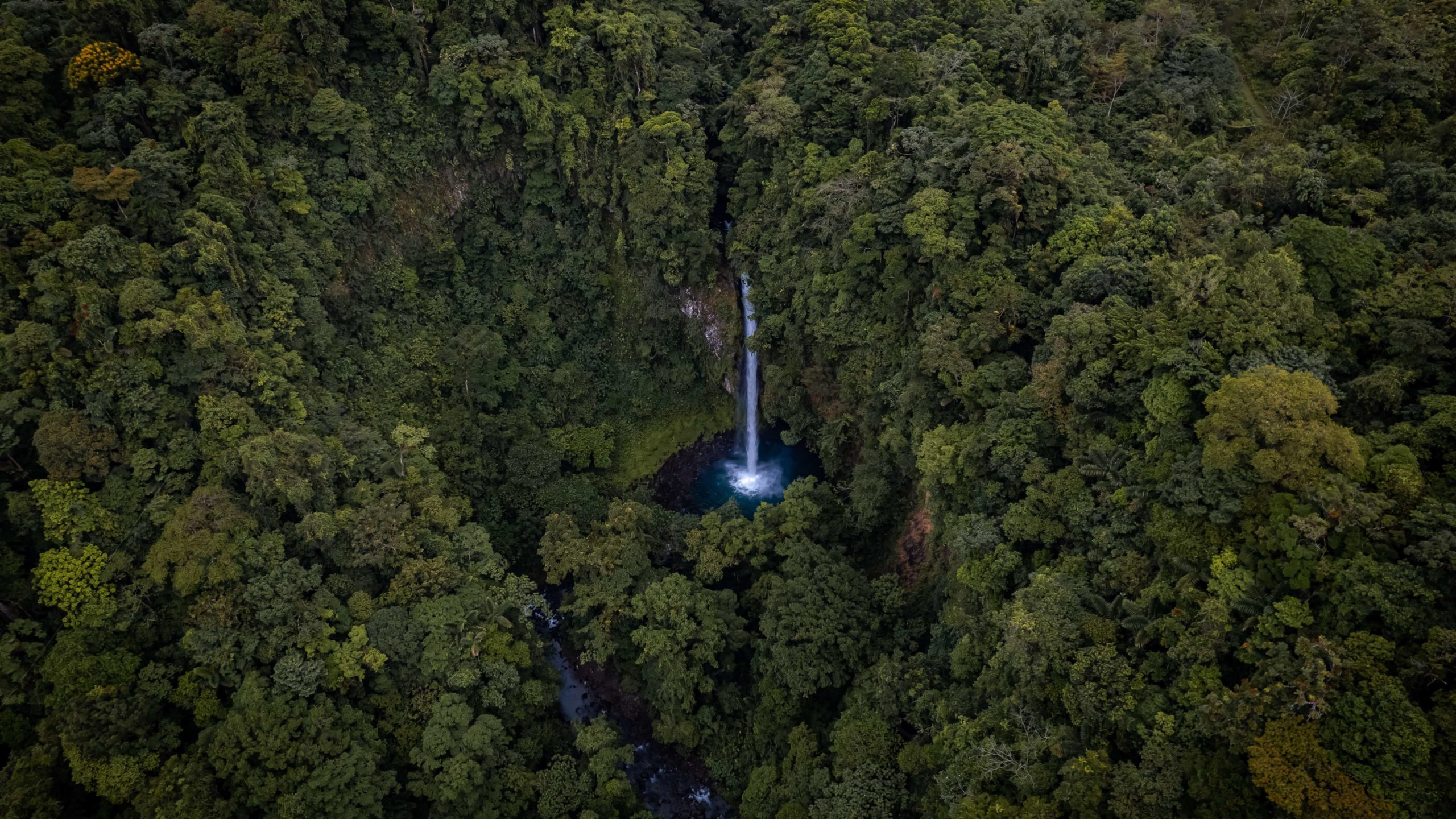 cascade au Costa Rica
