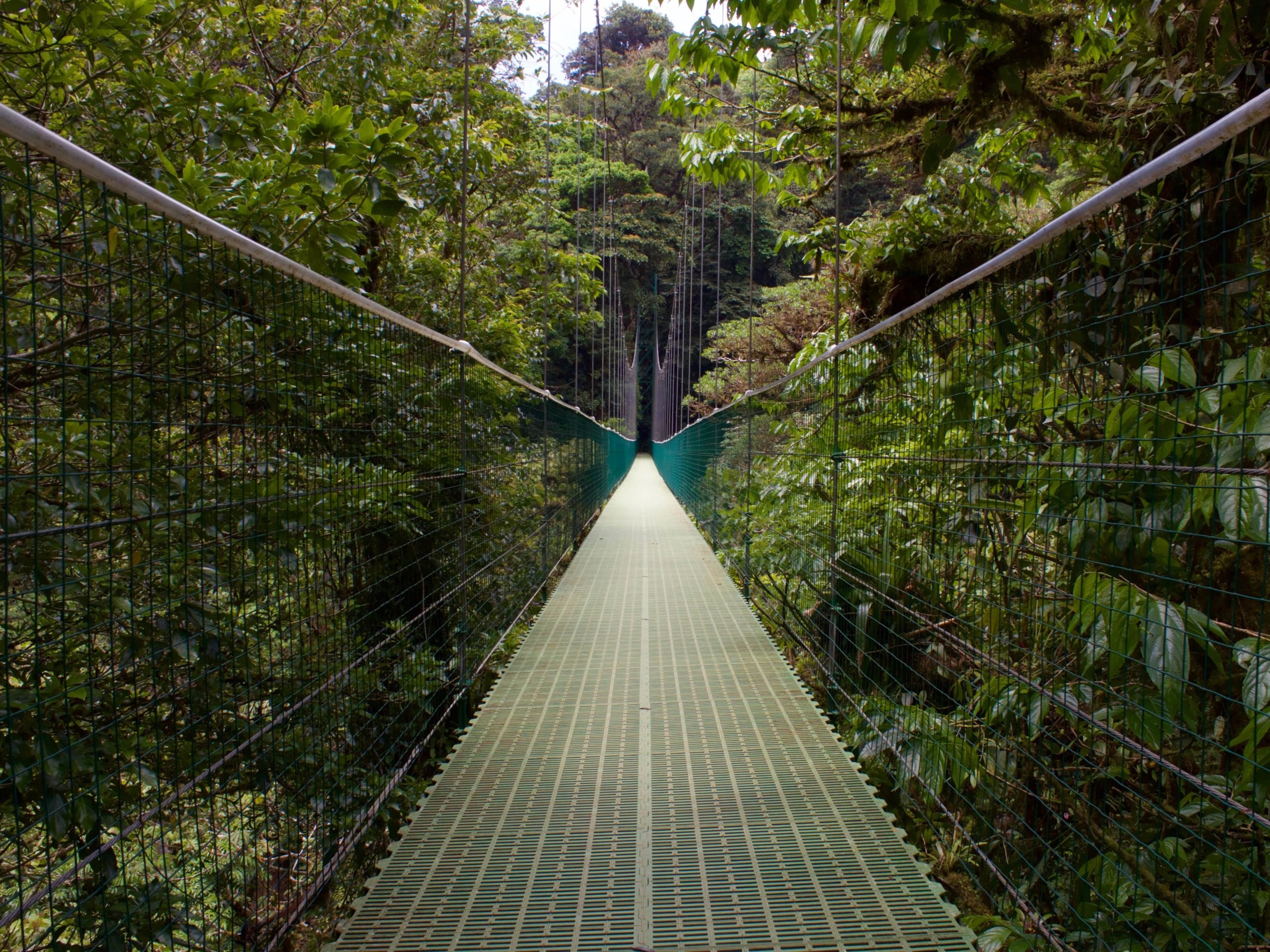 monteverde costa rica