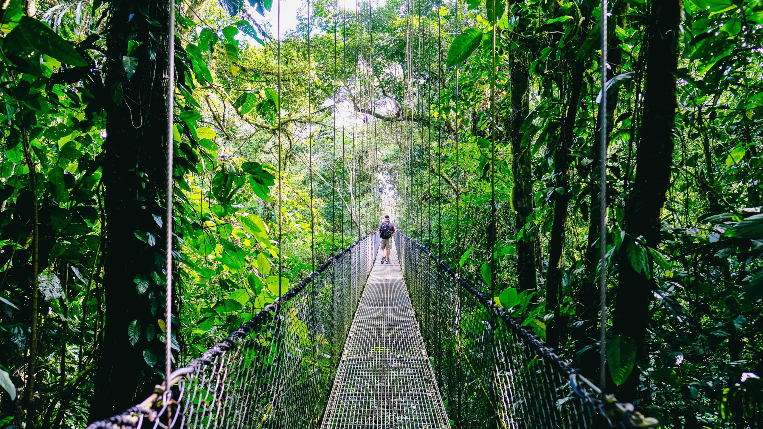 monteverde ponts suspendus costa rica