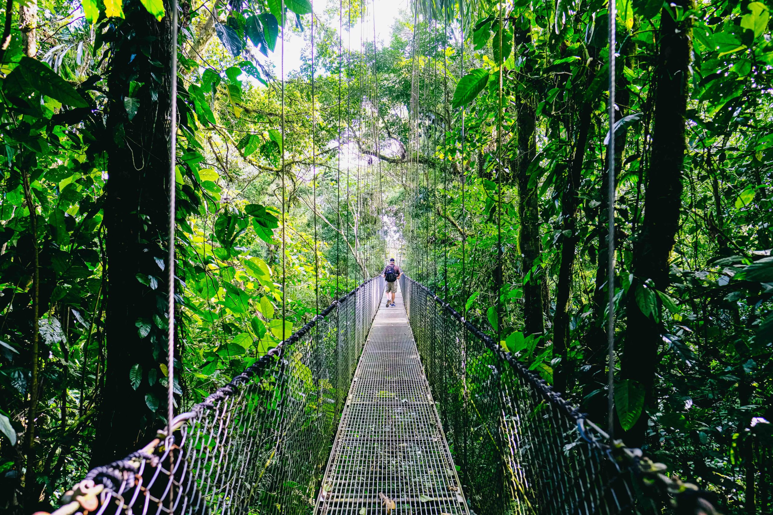 monteverde ponts suspendus costa rica